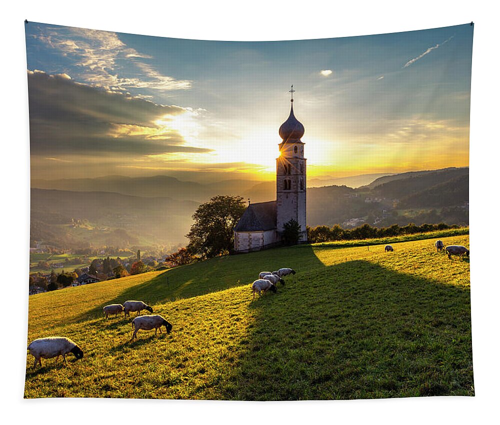 Nature Tapestry featuring the photograph Black Heads by Evgeni Dinev
