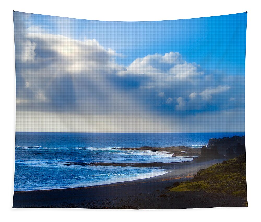Nature Tapestry featuring the photograph Black Sand and Sun by Judy Cuddehe