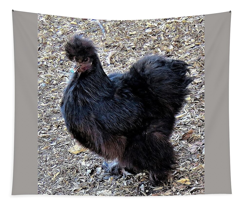 Black Chickens Tapestry featuring the photograph Black Silkie Bantam by Linda Stern