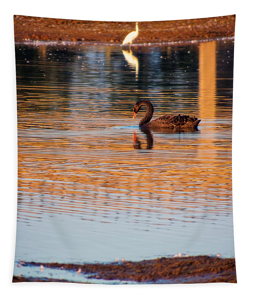 Black Tapestry featuring the photograph Black Swan by Jaroslav Buna