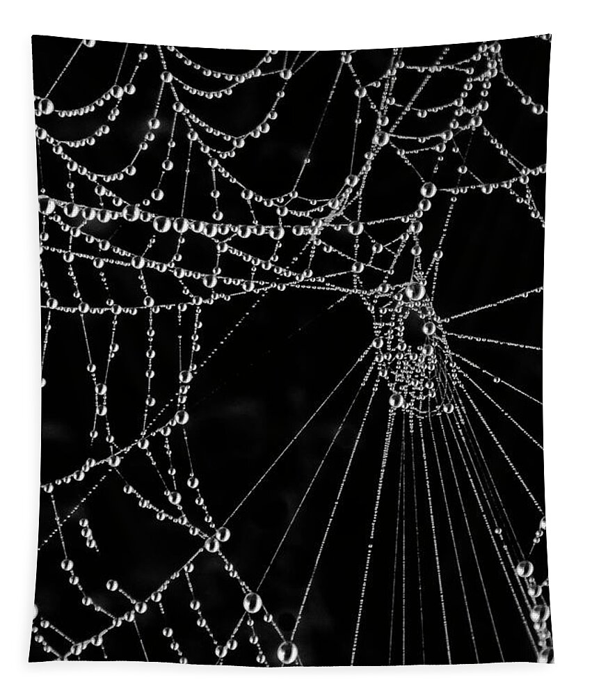 Black Tapestry featuring the photograph Black Web by WAZgriffin Digital