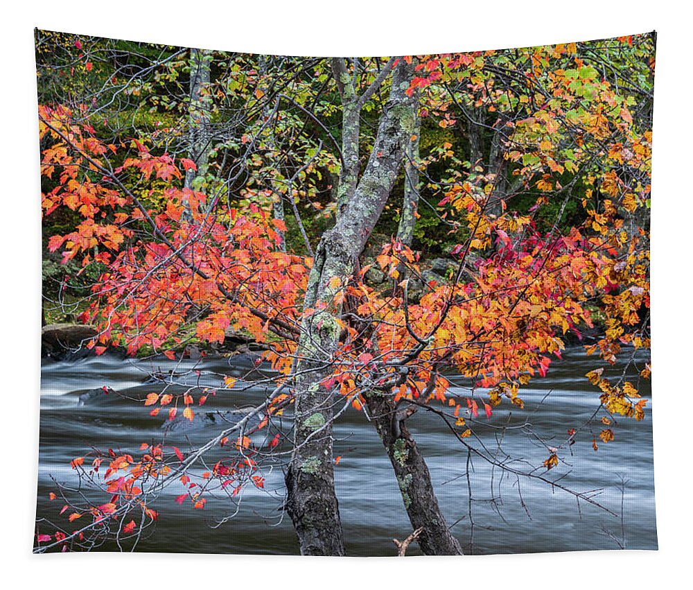 Blackstone River Tapestry featuring the photograph Blackstone River LVI Color by David Gordon