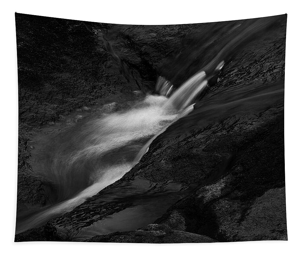 Abstract Tapestry featuring the photograph Blackstone River LXV BW by David Gordon