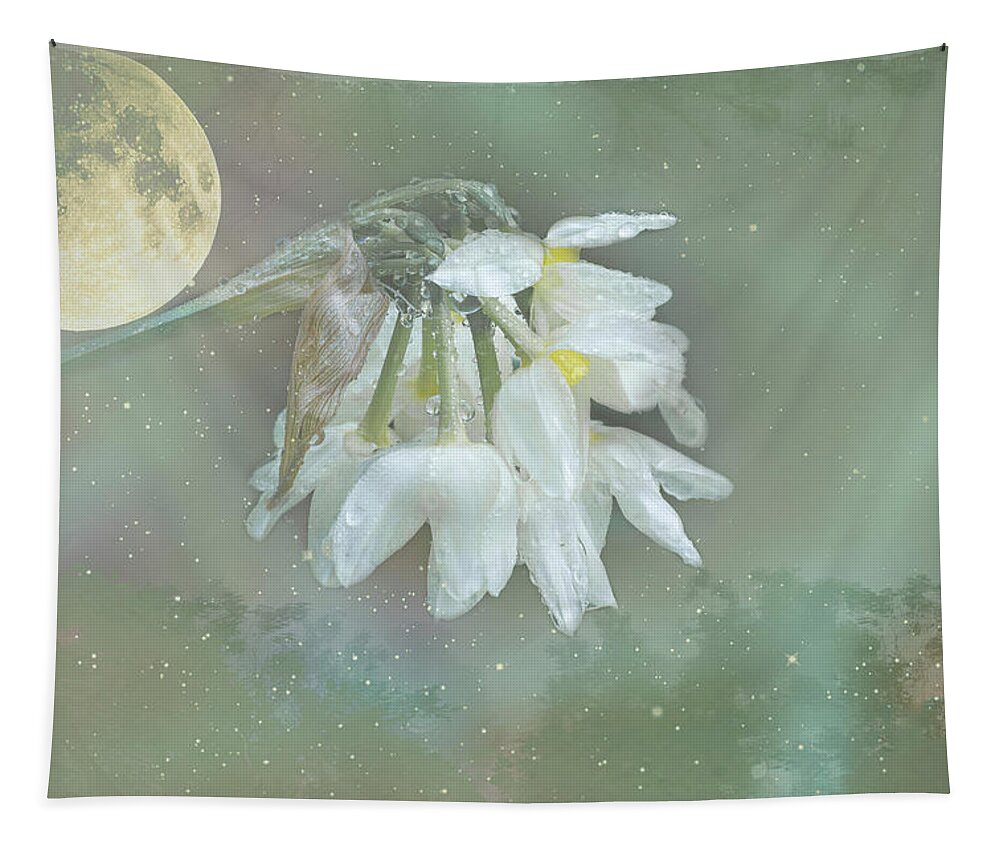Daffodils Tapestry featuring the photograph Weeping Narcissus by Elaine Teague