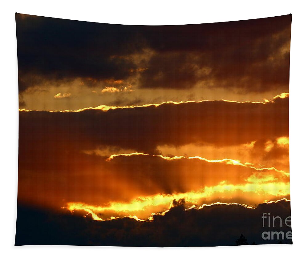 Fototaker Tapestry featuring the photograph Blazing Nature by Tony Lee