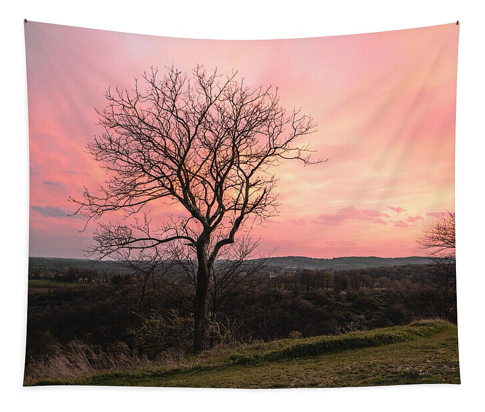 Sunset Tapestry featuring the photograph Bleak Horizon by Jason Fink