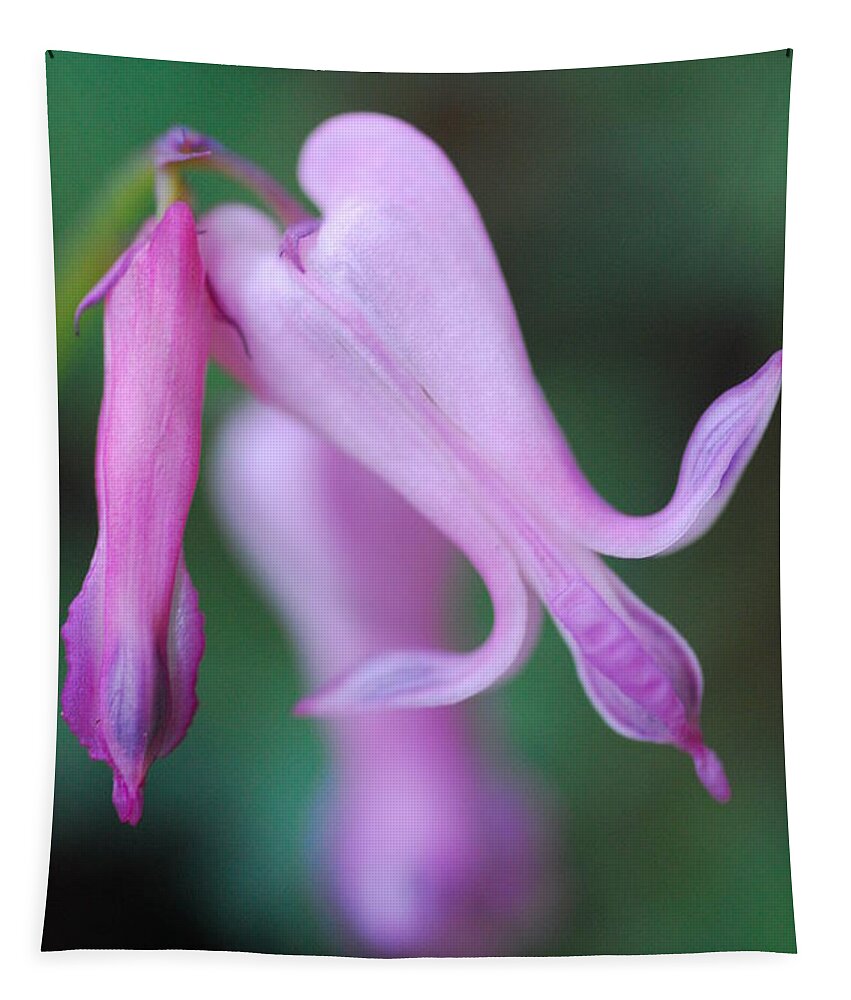 Macrophotography Tapestry featuring the photograph Bleeding Heart 1 by Stephanie Gambini