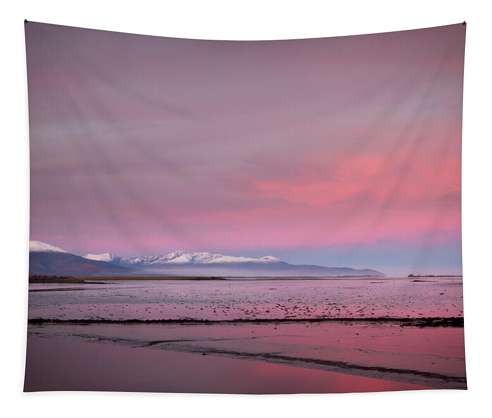 Morning Tapestry featuring the photograph Blennervill Pinks by Mark Callanan