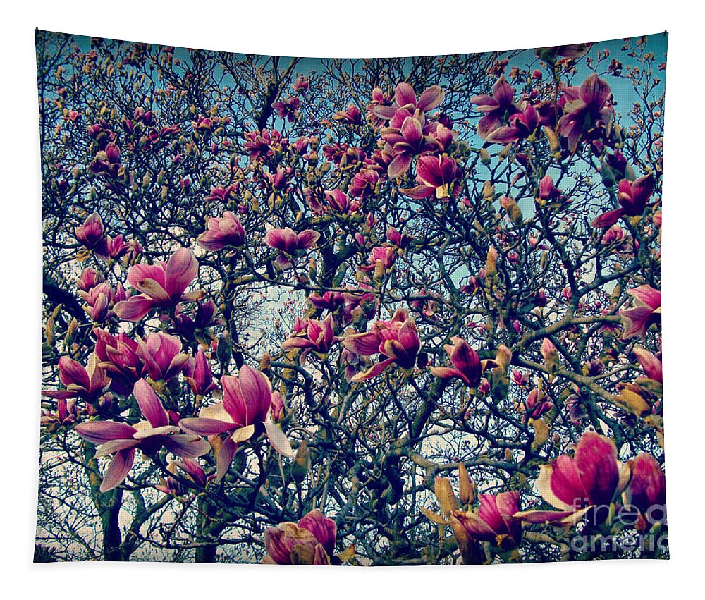 Nature Tapestry featuring the photograph Blooming Magnolias by Frank J Casella