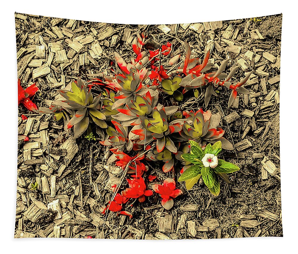 Summer Tapestry featuring the mixed media Blooms in the Dust by Asok Mukhopadhyay