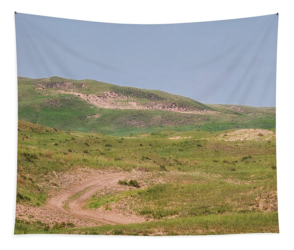 Nebraska Tapestry featuring the photograph Blowouts - Sandhills Journey by Susan Rissi Tregoning