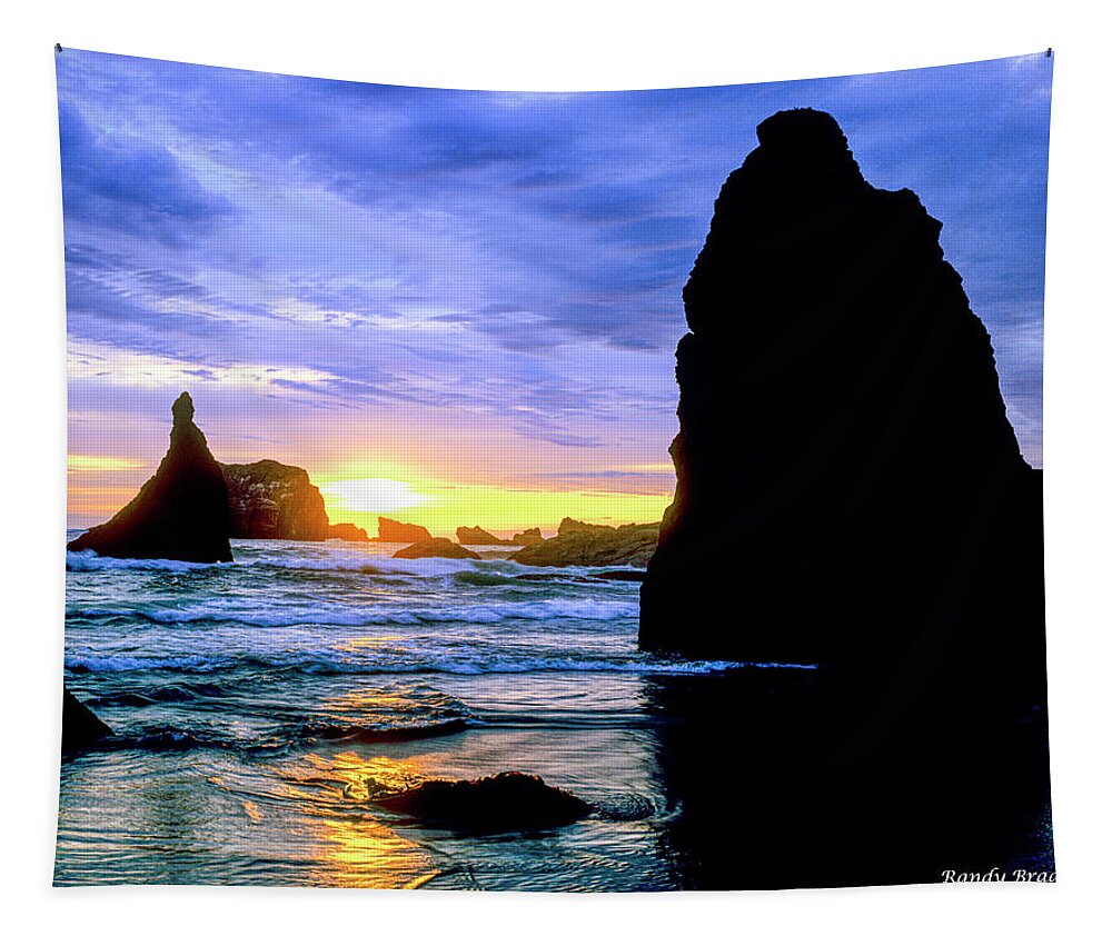 West Coast Tapestry featuring the photograph Blue and Gold by Randy Bradley