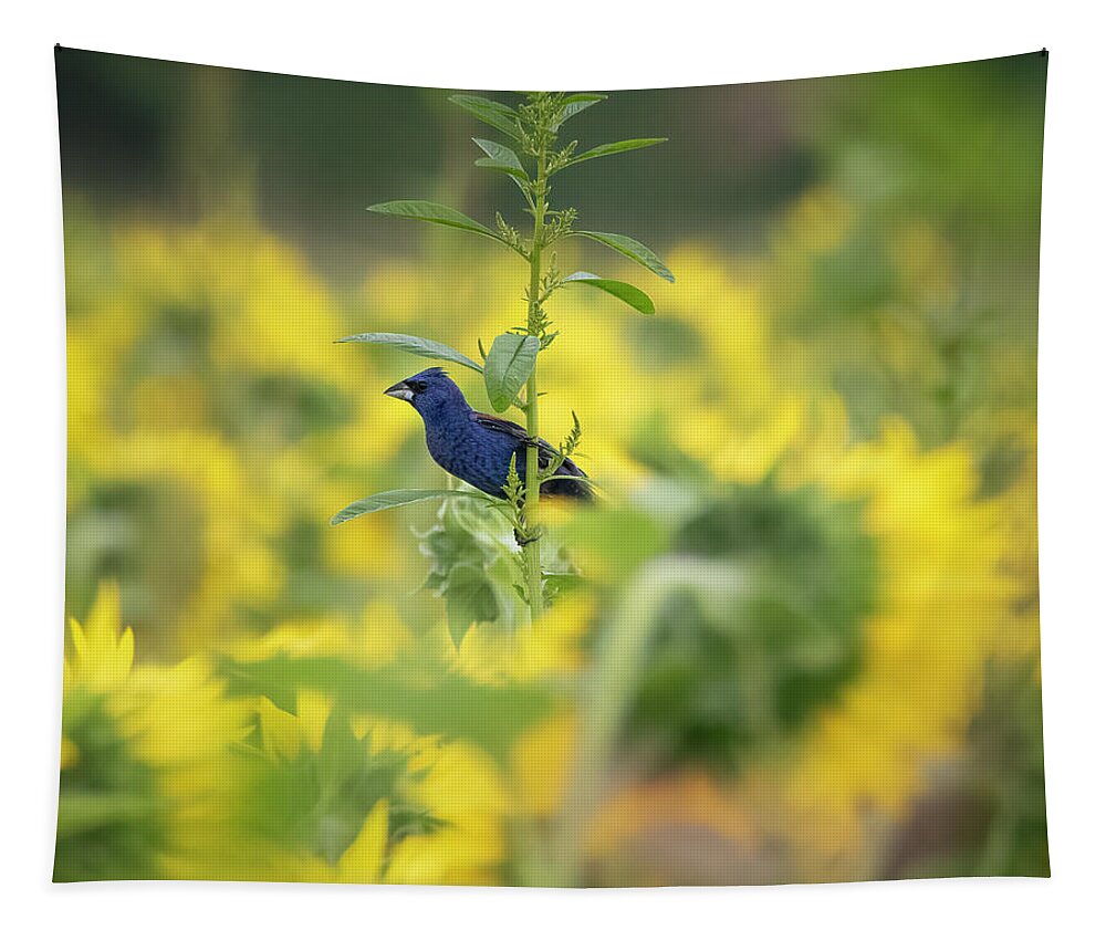 Dawson Lake Tapestry featuring the photograph Blue Grosbeak in Sunflowers by Ray Silva