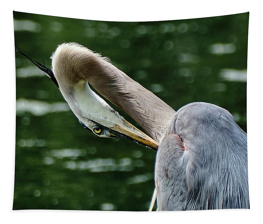 Grand Héron Tapestry featuring the photograph Blue heron close up by Carl Marceau