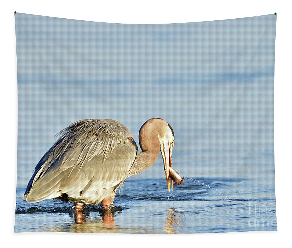 Blue Heron Tapestry featuring the photograph Great Blue Heron with a Fish in the Bill by Amazing Action Photo Video