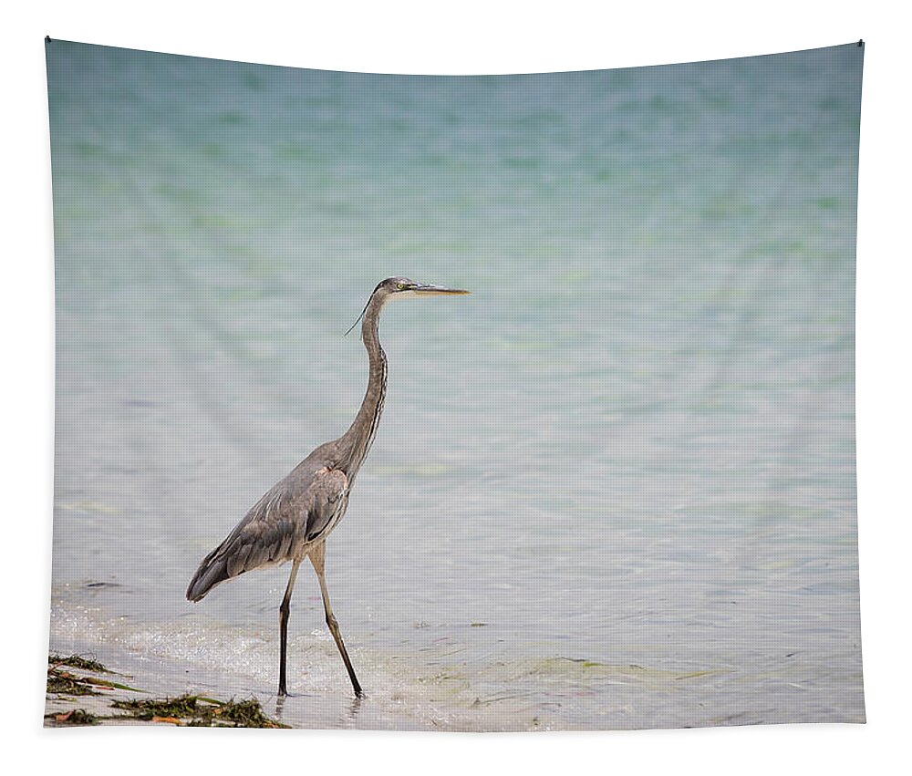Blue Heron Tapestry featuring the photograph Blue Heron on Beach Patrol by Joni Eskridge
