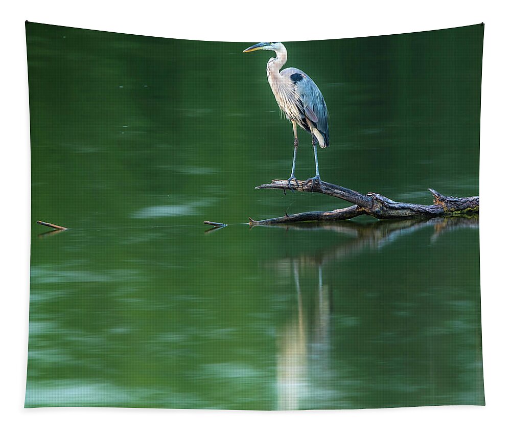 Blue Heron Reflection Tapestry featuring the photograph Blue Heron Reflection by Dan Sproul