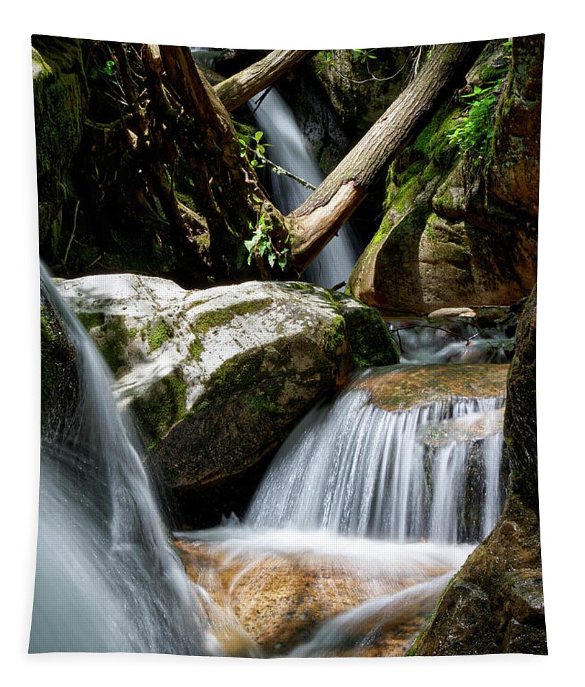 Nature Tapestry featuring the photograph Blue Hole Falls 11 by Phil Perkins