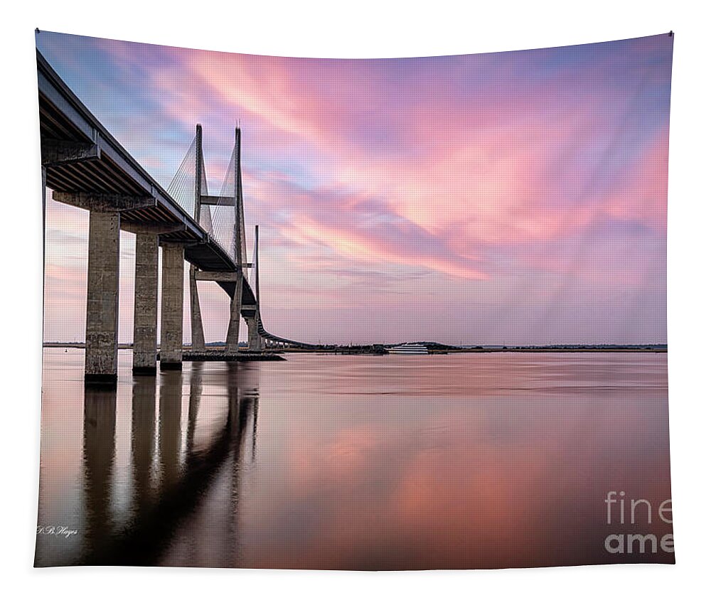 Sunsets Tapestry featuring the photograph Blue Hour Magic by DB Hayes