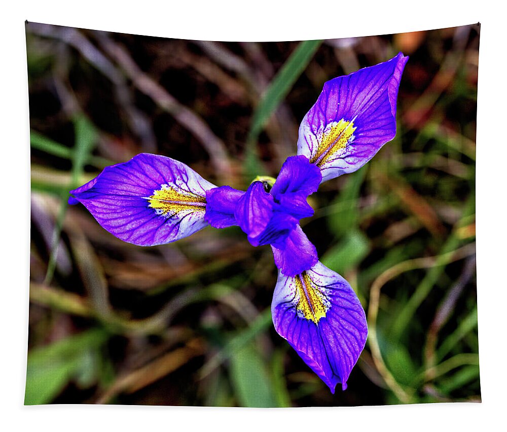 Flower Tapestry featuring the photograph Blue Iris by Bob Falcone