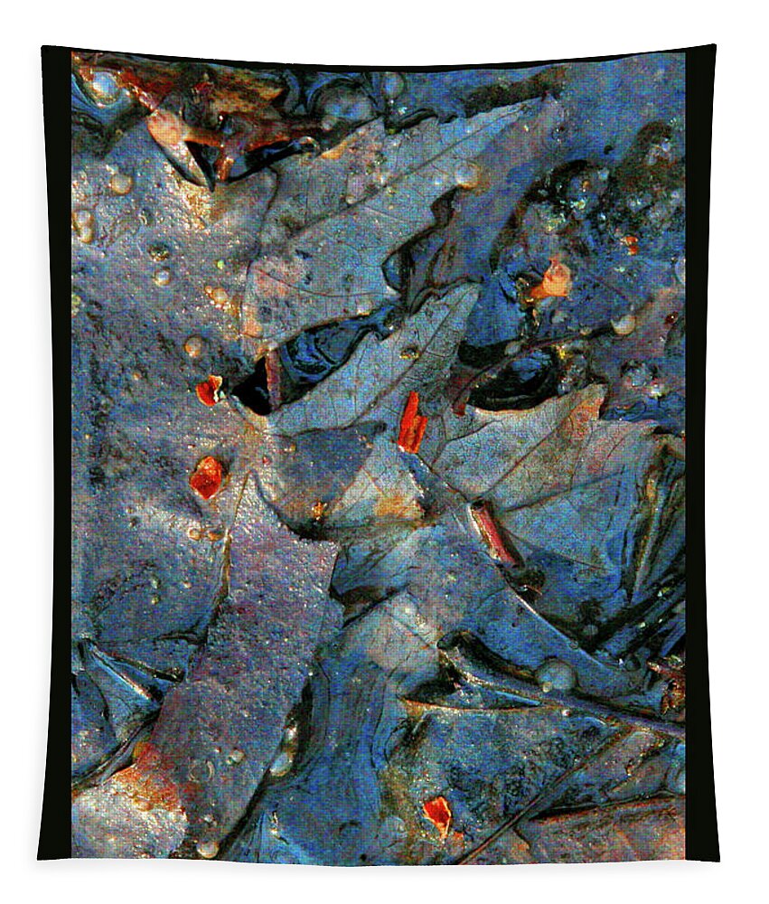 Leaf Tapestry featuring the photograph Blue Layers by Patricia Overmoyer
