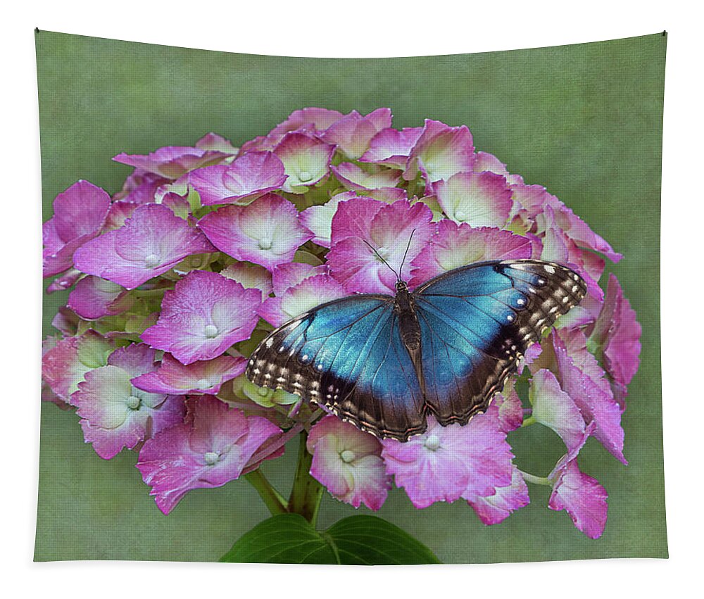 Butterfly Tapestry featuring the photograph Blue Morpho Butterfly on Pink Hydrangea by Patti Deters