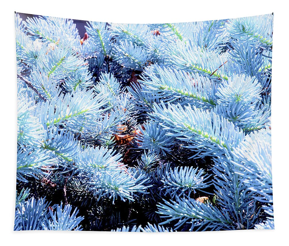 Art Tapestry featuring the photograph Blue Pine Needles by David Desautel