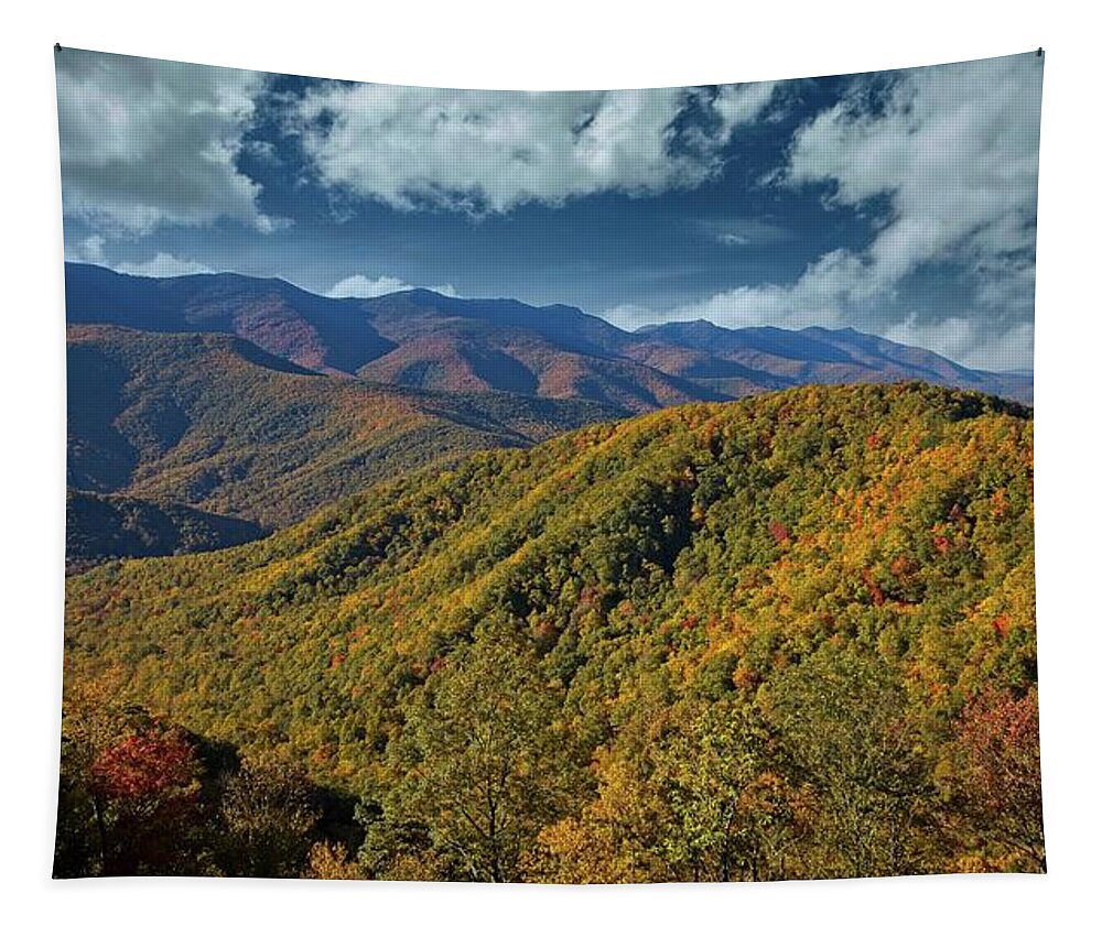Autumn Tapestry featuring the photograph Blue Ridge Autumn Color by Ronald Lutz