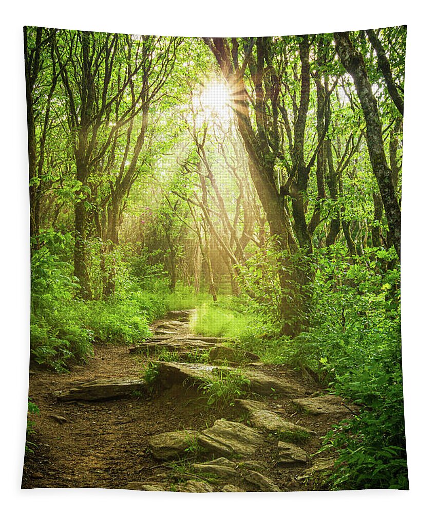 Outdoors Tapestry featuring the photograph Blue Ridge Parkway Asheville NC Ethereal by Robert Stephens