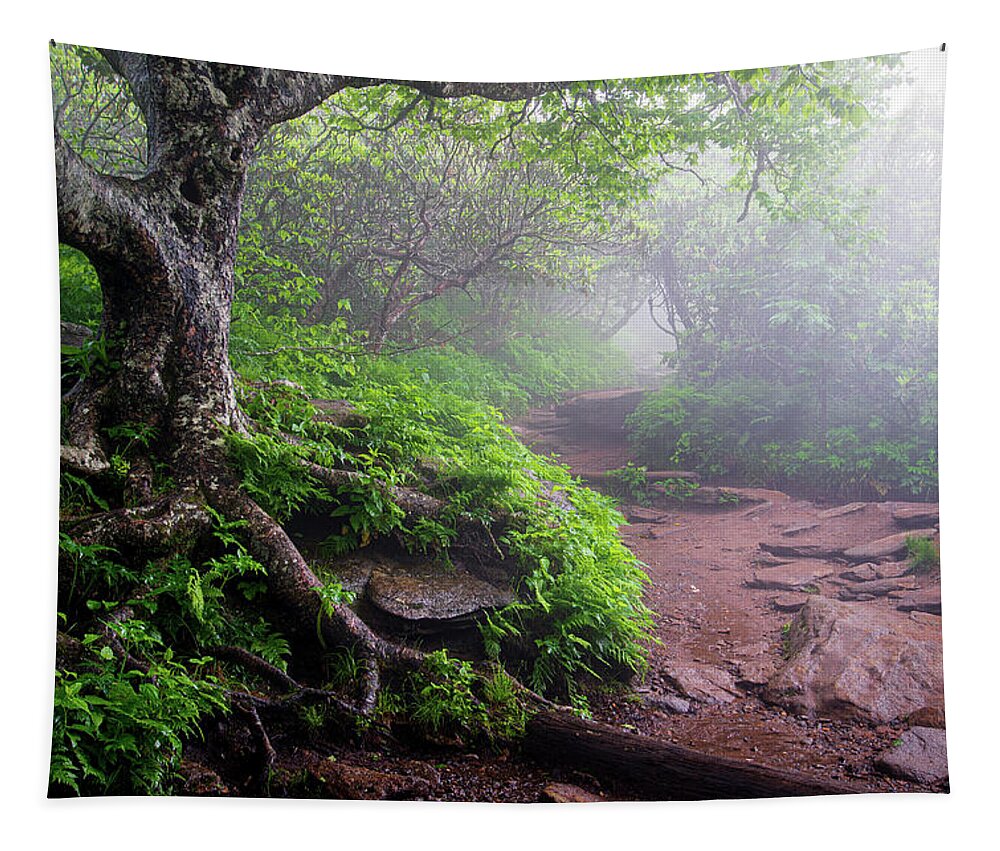 Trail Tapestry featuring the photograph Blue Ridge Parkway North Carolina Craggy Fog by Robert Stephens