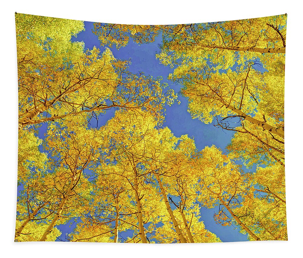  Aspen Colorado Tapestry featuring the photograph Blue Skies Above the Aspen Grove by OLena Art by Lena Owens - Vibrant Design and