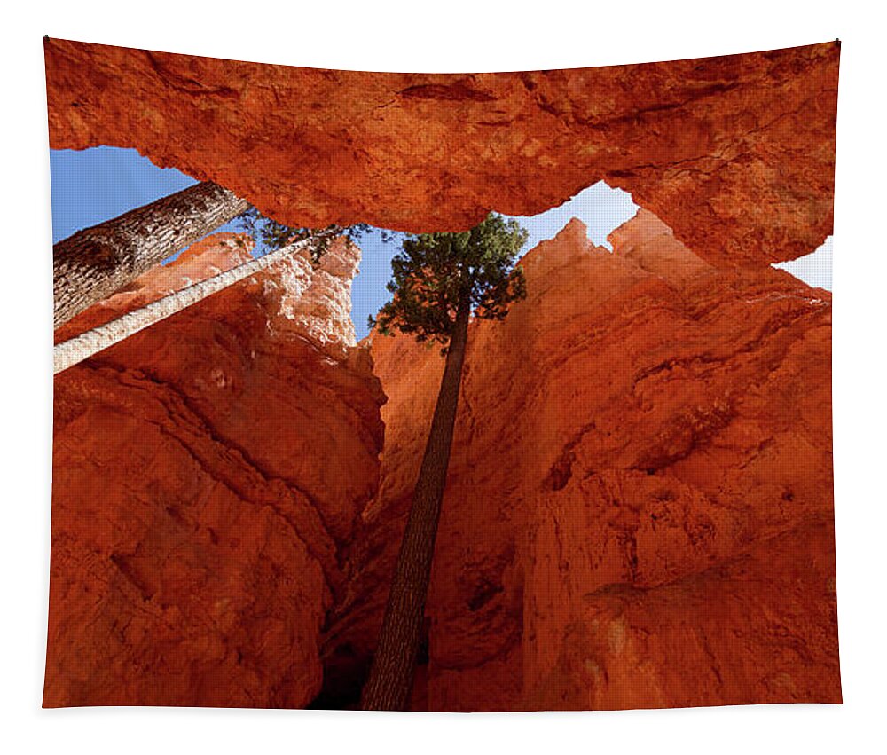 America Tapestry featuring the photograph Blue sky piercing between two orange cliffs by Jean-Luc Farges