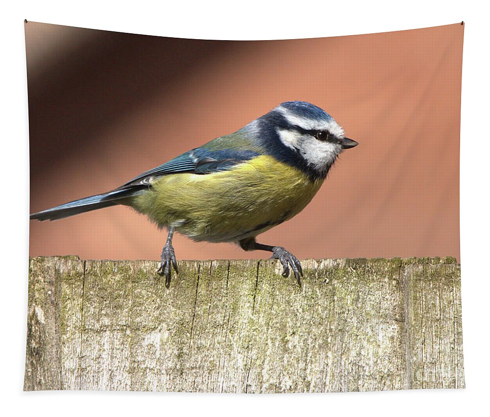 Nature Tapestry featuring the photograph Blue Tit on a Fence 2 by Stephen Melia
