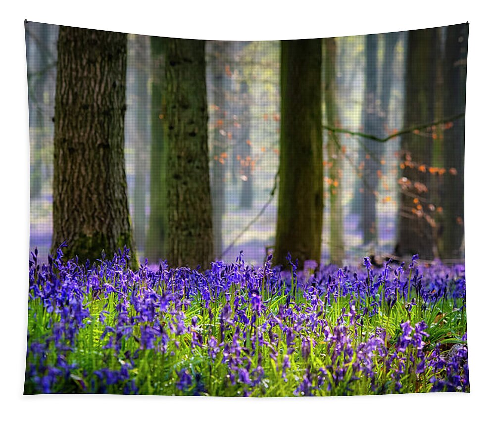 Landscape Tapestry featuring the photograph Bluebell wood 2 by Remigiusz MARCZAK