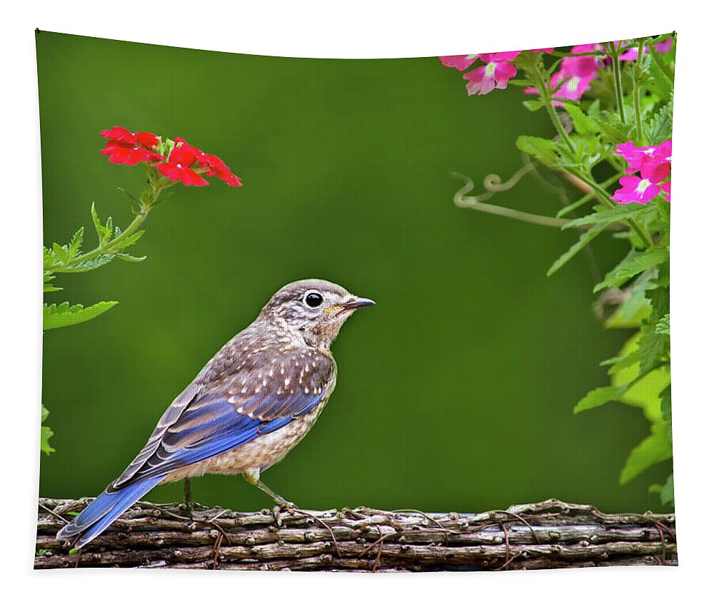 Bluebird Tapestry featuring the photograph Bluebird Chick by Christina Rollo