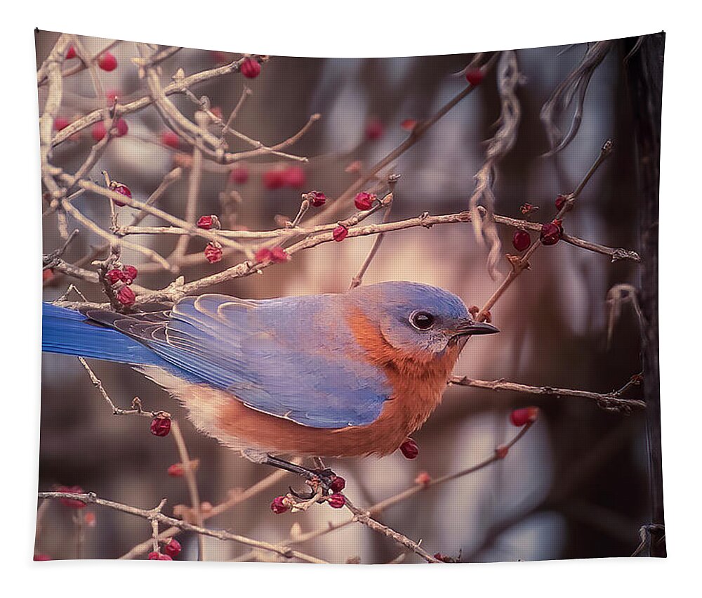 Bluebird Tapestry featuring the photograph Bluebird in Winter 2 Wilsons Creek Springfield by Allin Sorenson