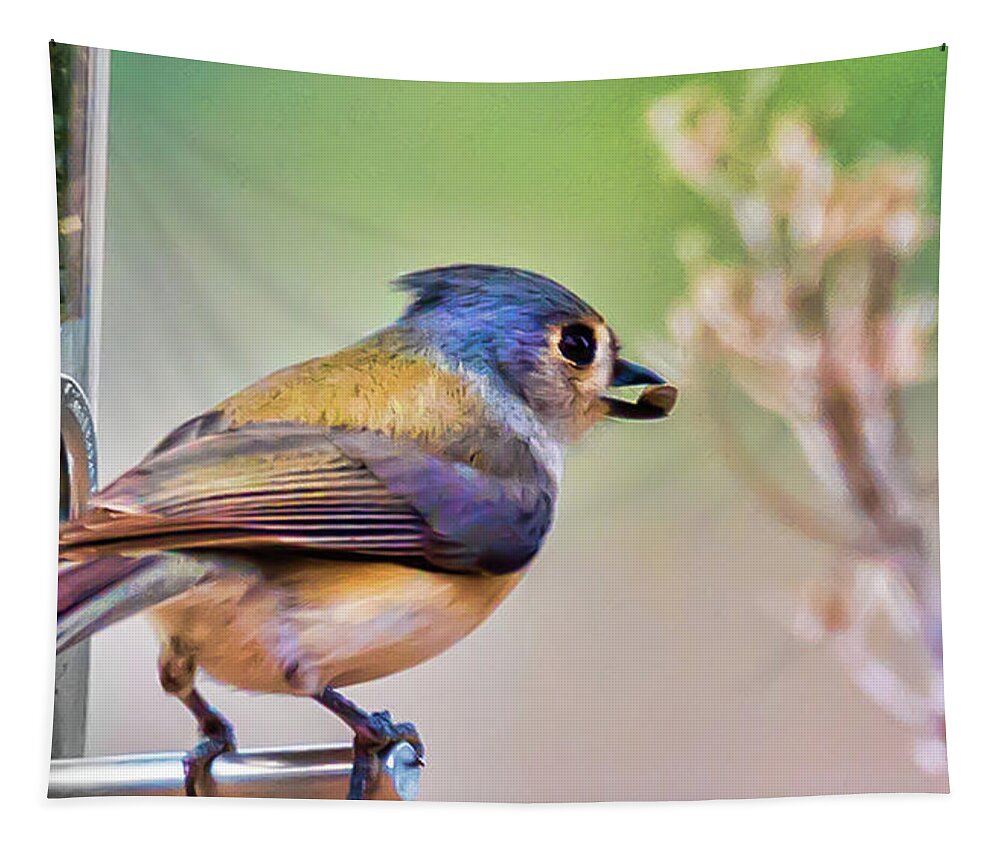 South Carolina Birds Tapestry featuring the photograph Bluebird by Joe Granita