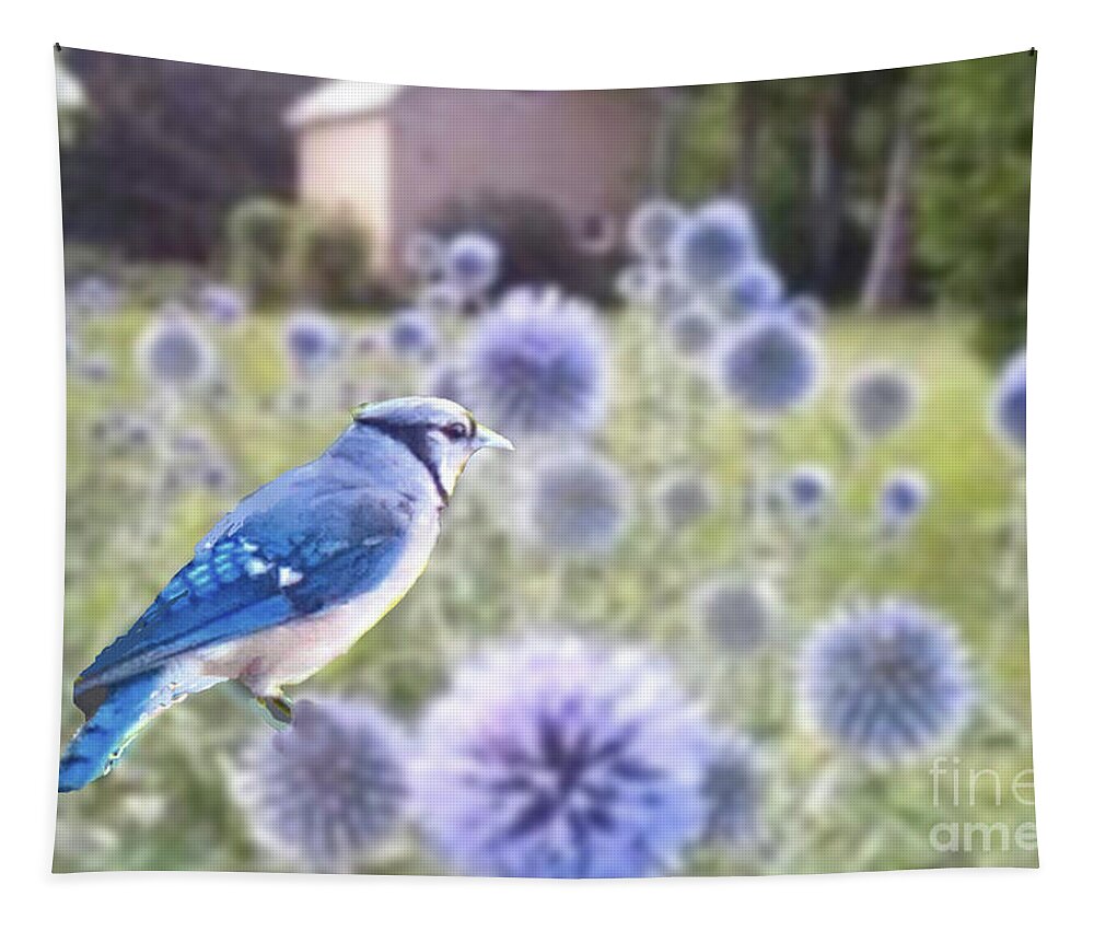 Bluejay Bird Animal Blue Veitch Blue Echinops Flowers Globe Thistle Flowers Tapestry featuring the photograph Bluejay in Echinops by Janette Boyd