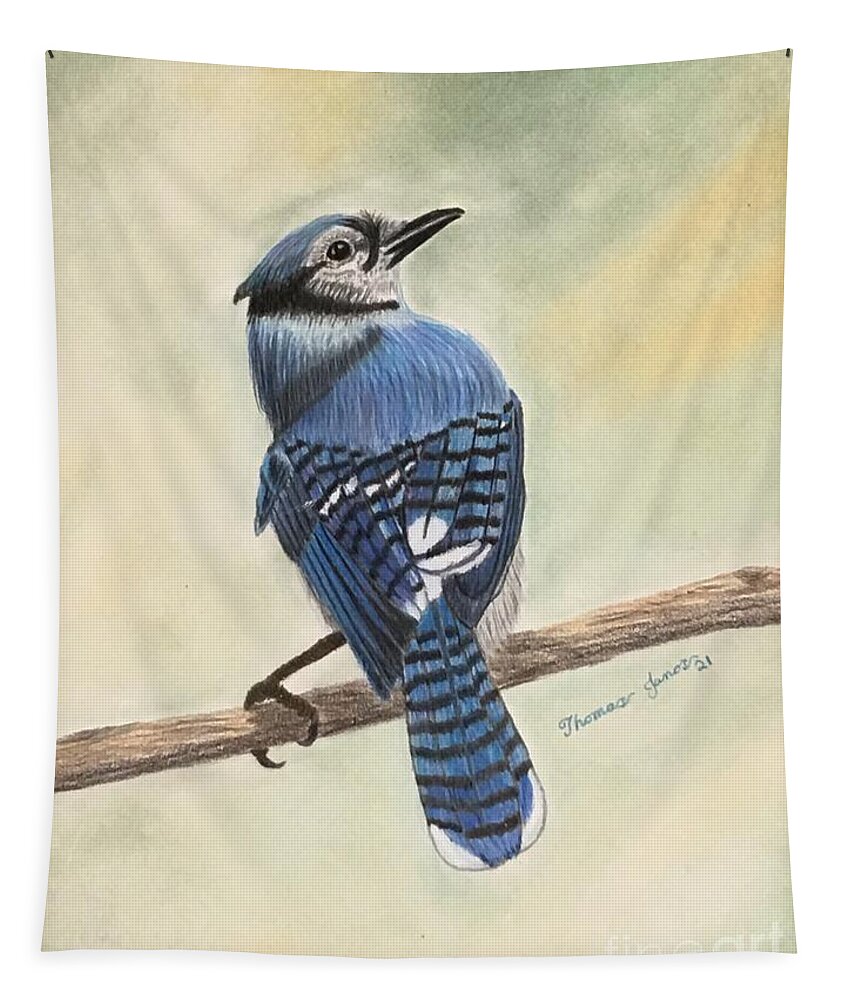 Bluejay Tapestry featuring the drawing Bluejay by Thomas Janos