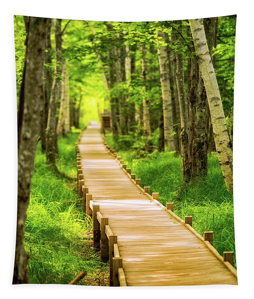 Acadia Tapestry featuring the photograph Boardwalk in the Forest by Jeff Sinon