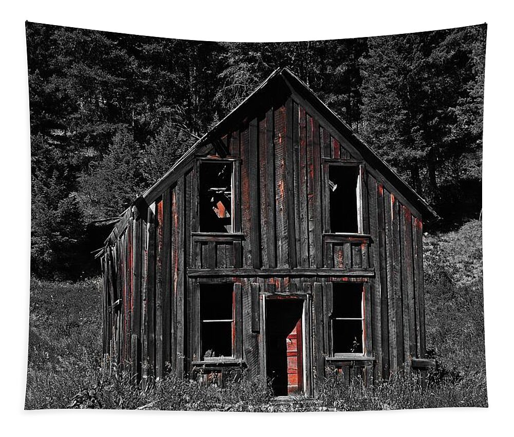 Bodie Washington Tapestry featuring the digital art Bodie Washington by Fred Loring