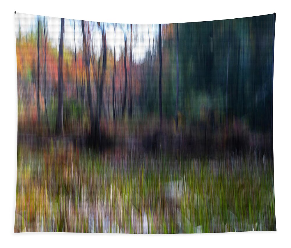 Icm Tapestry featuring the photograph Bog Area In the Fall by Betty Pauwels