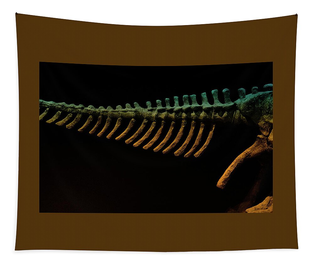Science Tapestry featuring the photograph Bones by Cynthia Dickinson