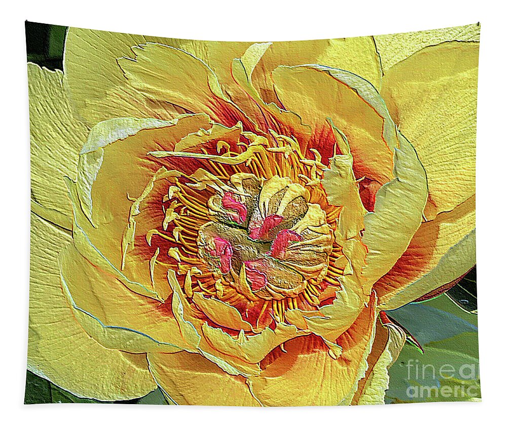 Border Charm Peony Tapestry featuring the photograph Border Charm Peony by Jeanette French
