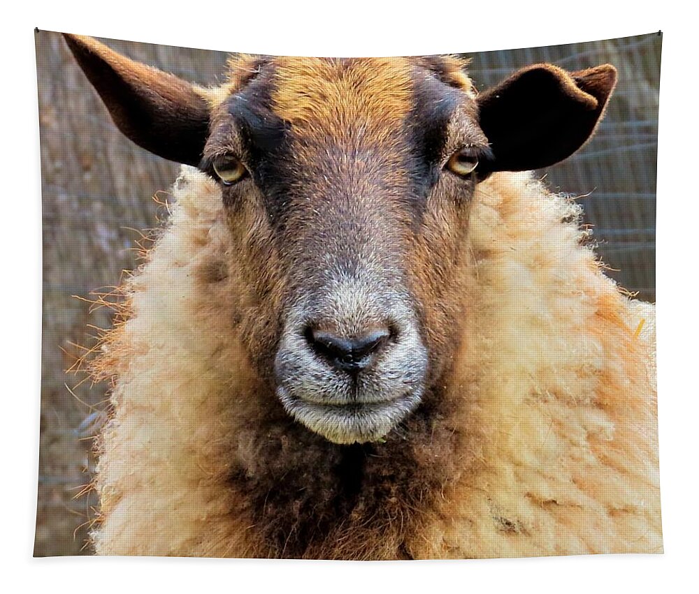 Animals Tapestry featuring the photograph Bored Sheep Look by Linda Stern