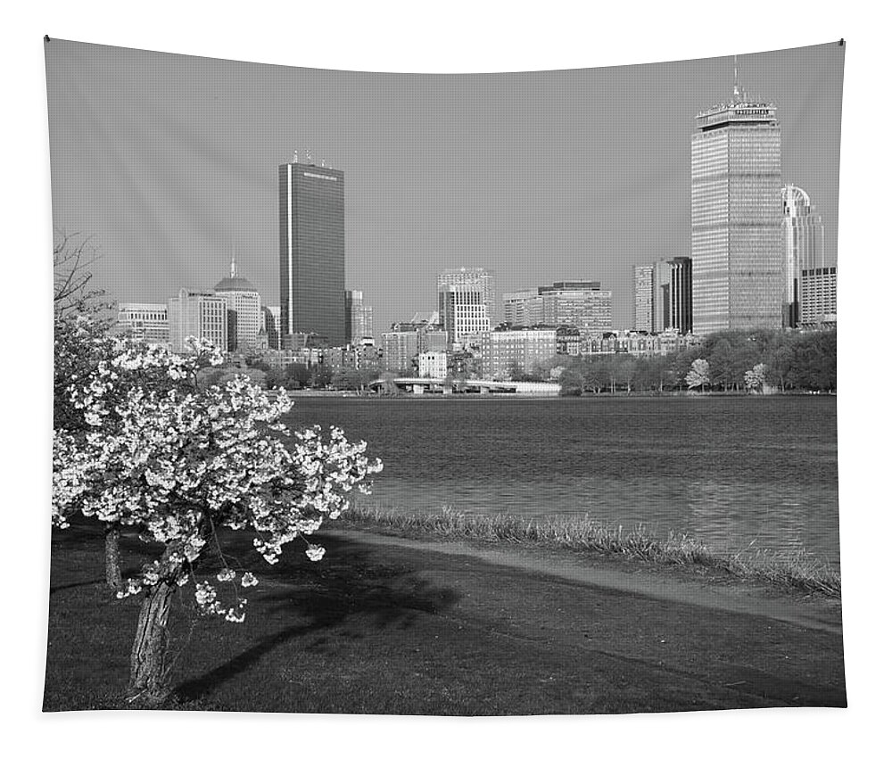 Boston Tapestry featuring the photograph Boston Charles River on a Spring day Black and White by Toby McGuire