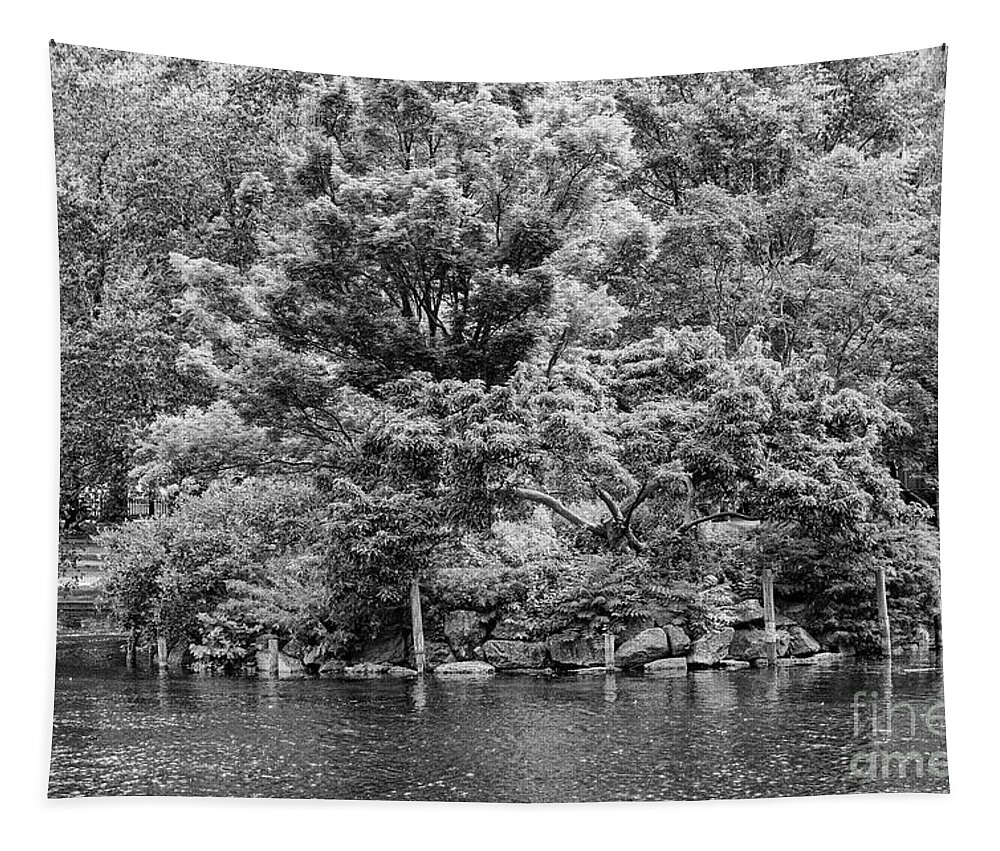 Boston Tapestry featuring the photograph Boston Public Garden and Lagoon Landscape 2 by Bob Phillips