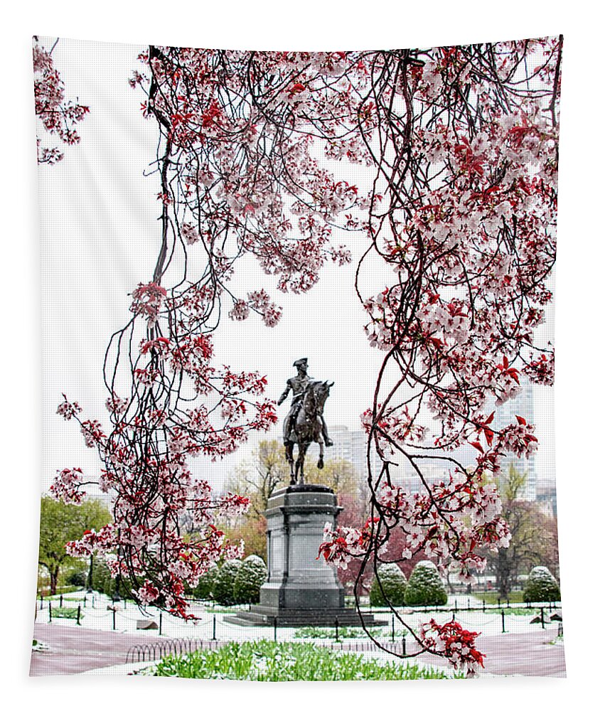 Cherry Blossoms Tapestry featuring the photograph Boston Public Garden during a Spring Snow Squal by Sally Cooper
