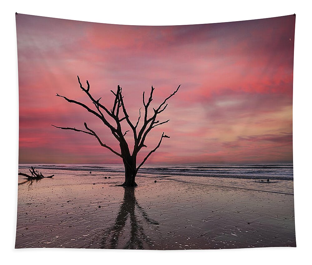 Nature Tapestry featuring the photograph Botany Bay Oak at Sunrise by Jon Glaser