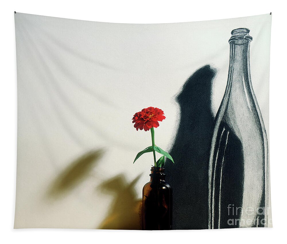 Bottle Tapestry featuring the mixed media Bottle and shadow drawing by Garry McMichael